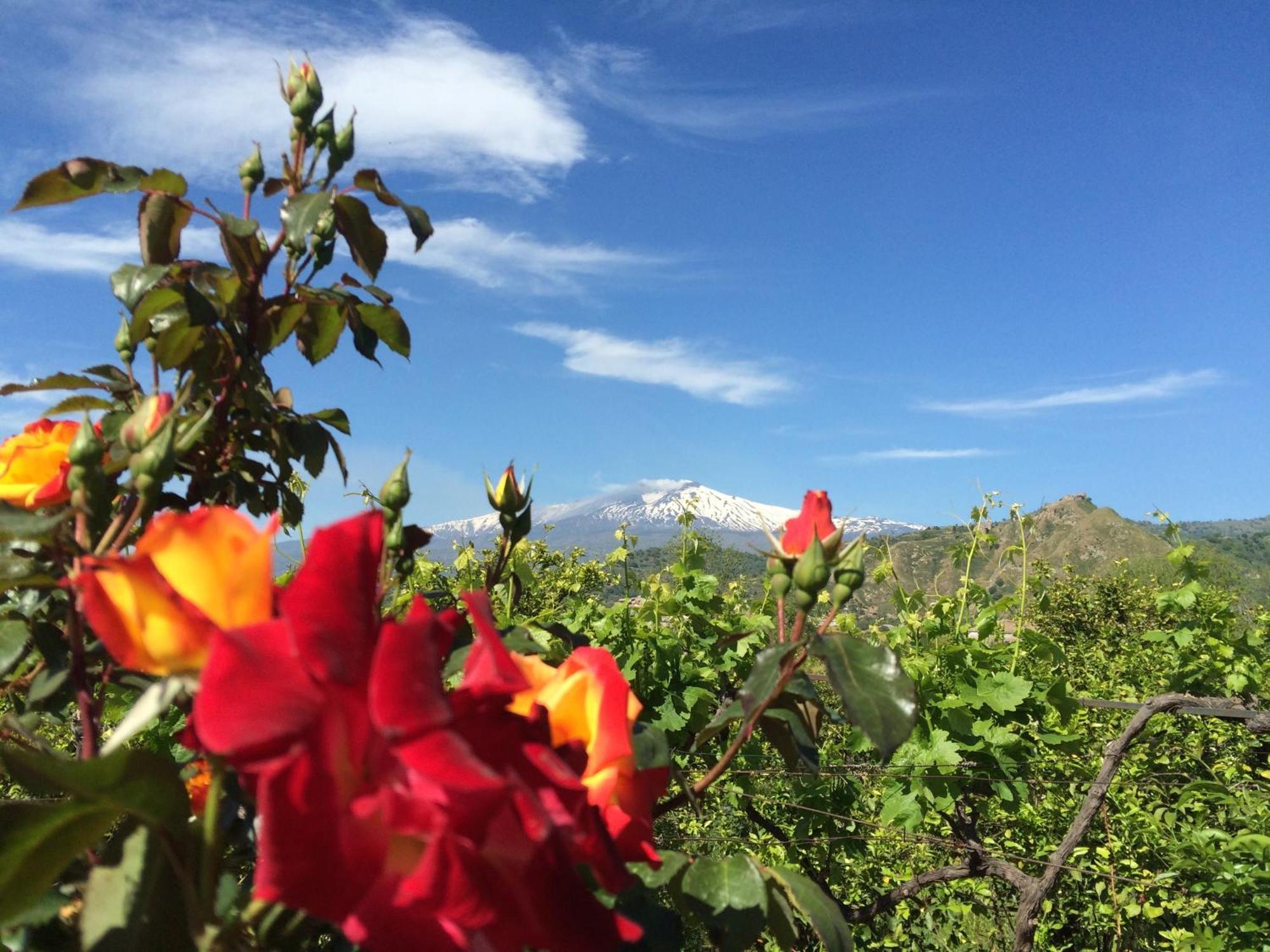 Il Giardino Segreto Bed & Breakfast Trappitello Room photo