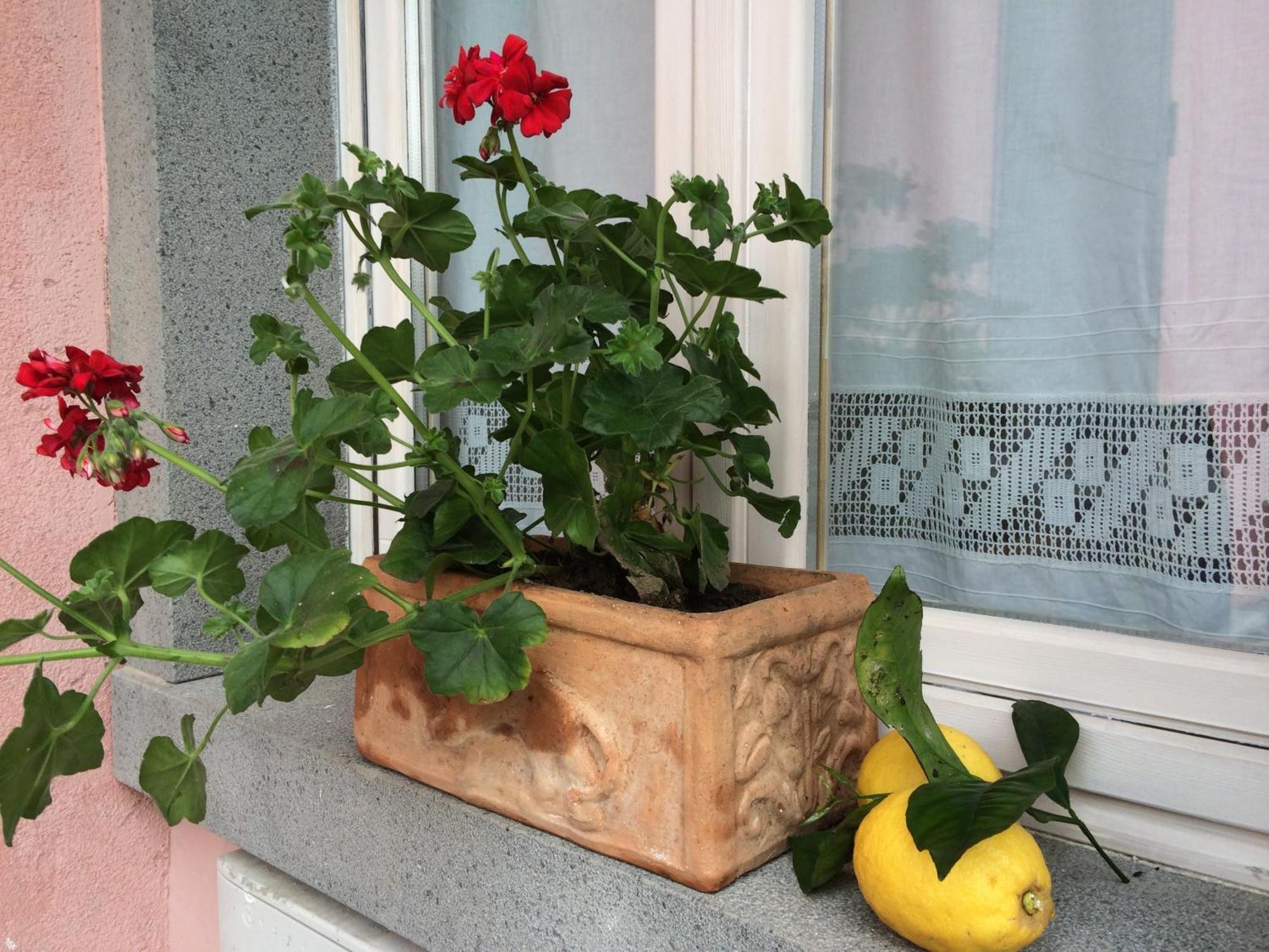 Il Giardino Segreto Bed & Breakfast Trappitello Exterior photo